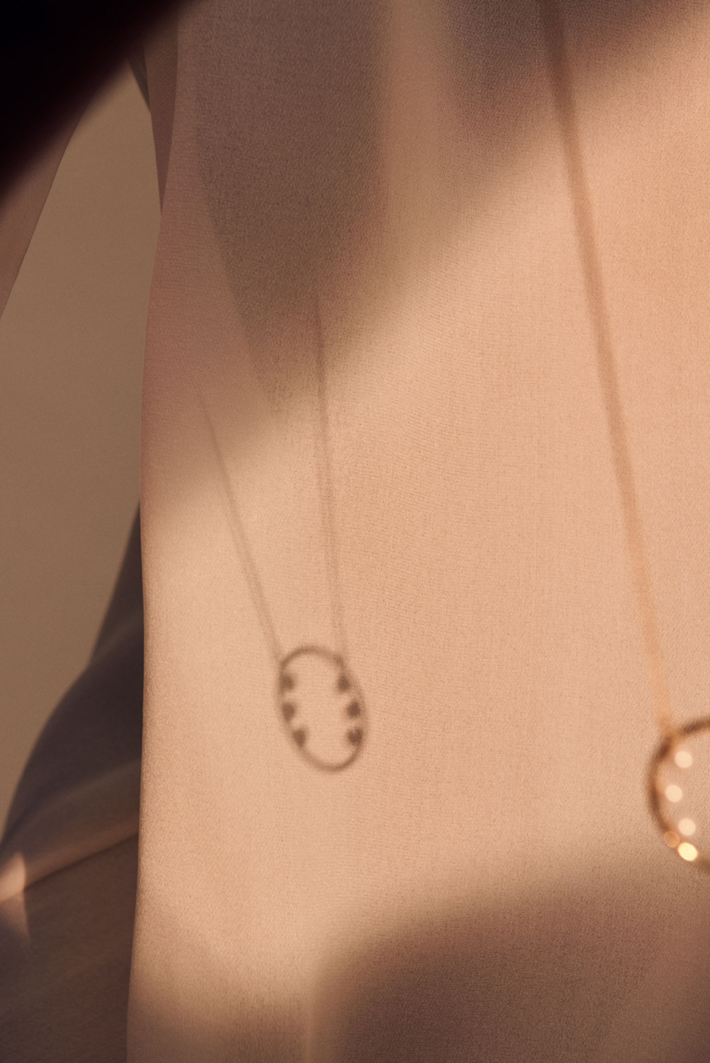 画像:2025_collection_11